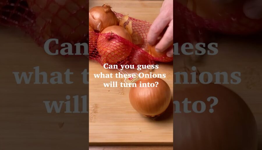 Can You Guess What These Onions Will Turn Into? #foodexperiment #cooking #frenchonionsoup #sausage