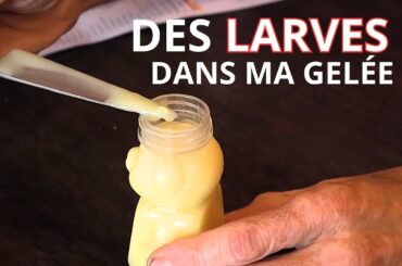 Faux made in France : attention aux arnaques !