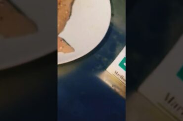 #peacock  #barbecue #grill #grilling #grillingseason #wine #chicken #french #france #grenachenoir