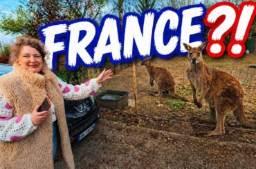 This French Hotel Was So Weird… We Loved It