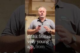 Chateau Coutet Saint Emilion Grand Cru 2025 - A Wine Built to Age 10+ Years, yet Attractive Now!