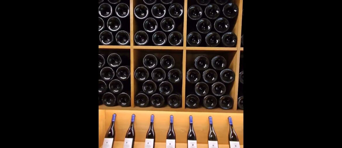 Huge Stock of Wine at La Chaize Wine distillery , Bagnols, France | Our Tour De France 2026