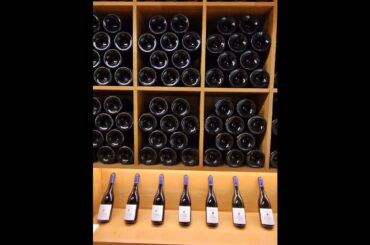 Huge Stock of Wine at La Chaize Wine distillery , Bagnols, France | Our Tour De France 2026