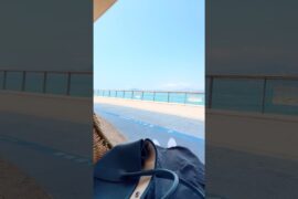 Hidden Gem by the Harbour! 🇫🇷 Exquisite French Dining | Michelin & Superb Value!