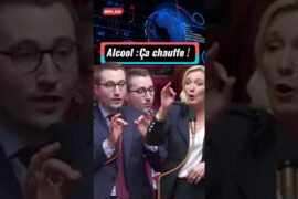 L’alcool chauffe le débat à l’Assemblée entre LFI et RN