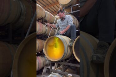 WINE BATONNAGE