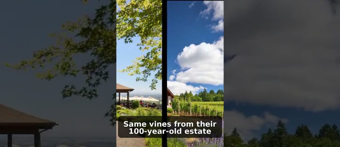 French Wine Dynasty Bets Big on Oregon #Shorts
