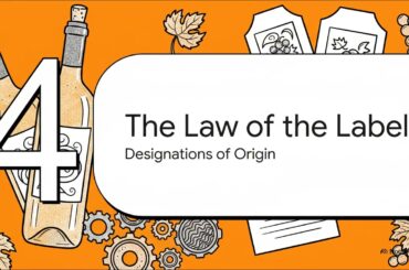 Wine 047 The Art and Science of Red Wine Aging