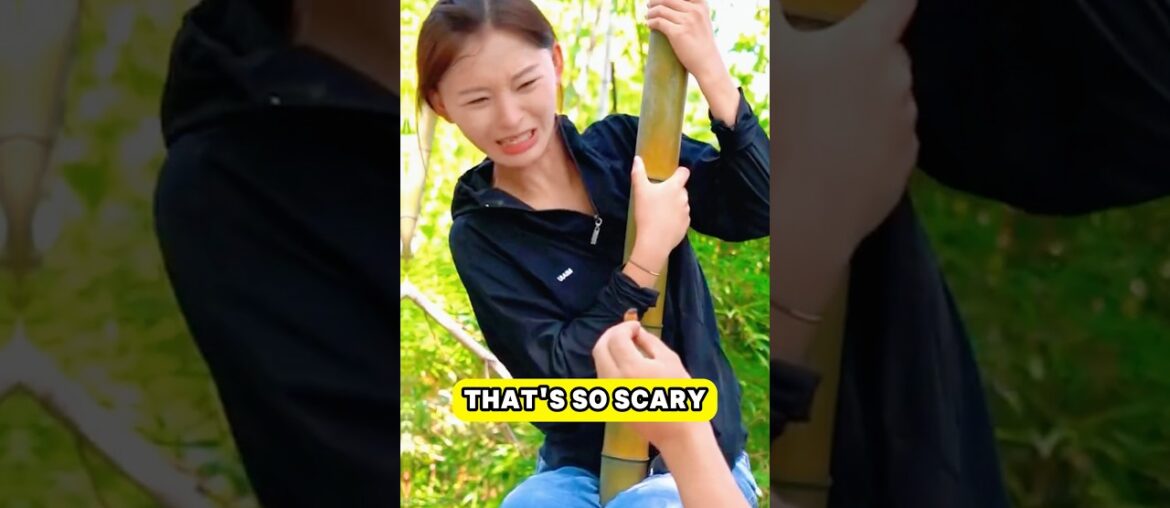 He Turned the Bamboo Bugs He Caught Into a Gourmet Insect Feast!