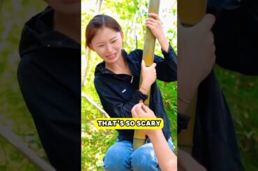 He Turned the Bamboo Bugs He Caught Into a Gourmet Insect Feast!