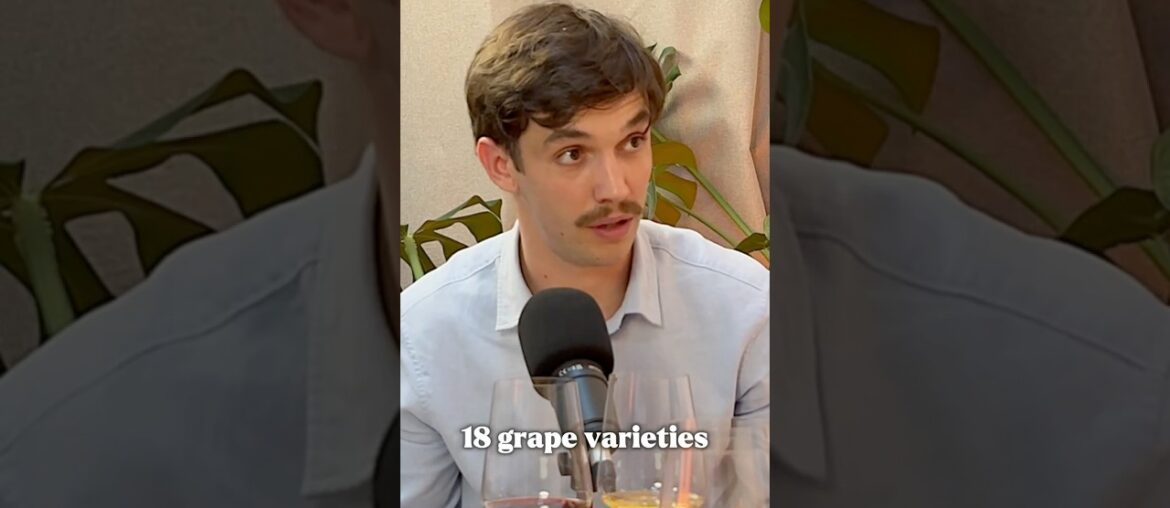 𝙒𝙝𝙖𝙩 𝙢𝙖𝙠𝙚𝙨 𝘾𝘿𝙋 𝙙𝙞𝙛𝙛𝙚𝙧𝙚𝙣𝙩 𝙛𝙧𝙤𝙢 𝙢𝙤𝙨𝙩 𝙛𝙖𝙢𝙤𝙪𝙨 𝙬𝙞𝙣𝙚 𝙧𝙚𝙜𝙞𝙤𝙣𝙨