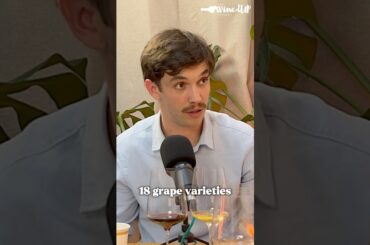 𝙒𝙝𝙖𝙩 𝙢𝙖𝙠𝙚𝙨 𝘾𝘿𝙋 𝙙𝙞𝙛𝙛𝙚𝙧𝙚𝙣𝙩 𝙛𝙧𝙤𝙢 𝙢𝙤𝙨𝙩 𝙛𝙖𝙢𝙤𝙪𝙨 𝙬𝙞𝙣𝙚 𝙧𝙚𝙜𝙞𝙤𝙣𝙨