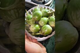 amazing green brinjal french fries #youtubeshorts #shortvideo #mosturaskitchen #indianfood