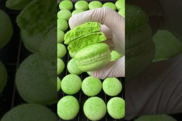 Green French Macaron Texture ✨