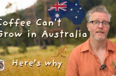Why Coffee Can't Grow in Australia — Coffee Belt, Arabica, Robusta & the Invisible Cage Explained