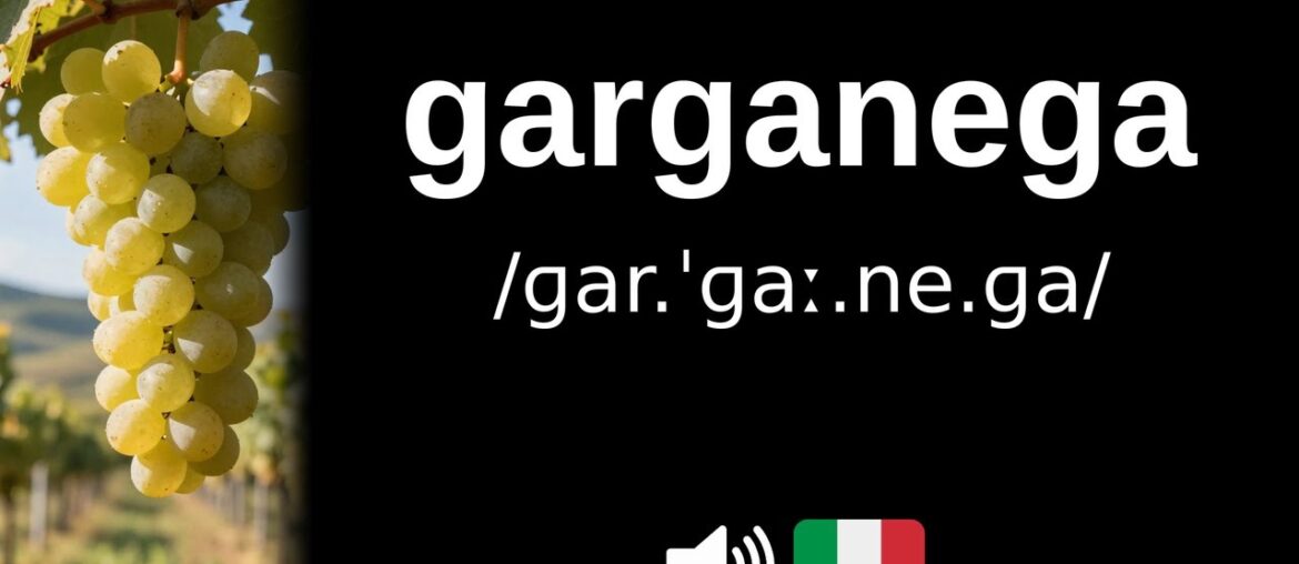 How to pronounce garganega (CORRECTLY!)