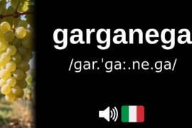 How to pronounce garganega (CORRECTLY!)