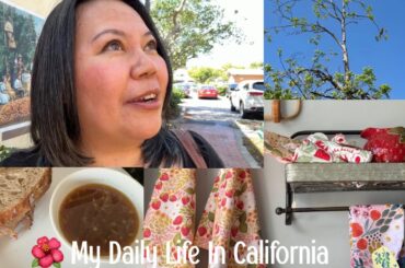 Having French Beef Dip Sandwich From Leftovers & Lovely Short Day Out 🌺 My Daily Life In California