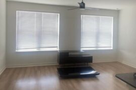 Can I mount the tv between these windows and pull it off?