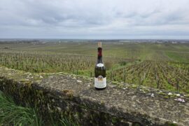 Mugneret-Gibourg Nuits-Saint-Georges 1er Cru Les Chaignots 2022