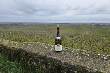 Mugneret-Gibourg Nuits-Saint-Georges 1er Cru Les Chaignots 2022