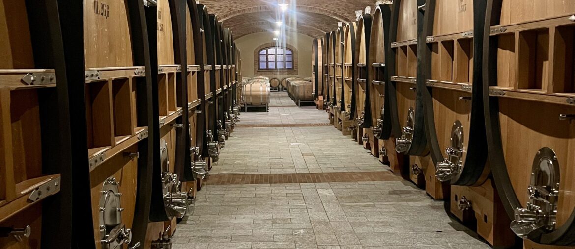 I visited Paolo Scavino in Barolo, Italy