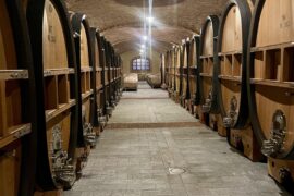 I visited Paolo Scavino in Barolo, Italy