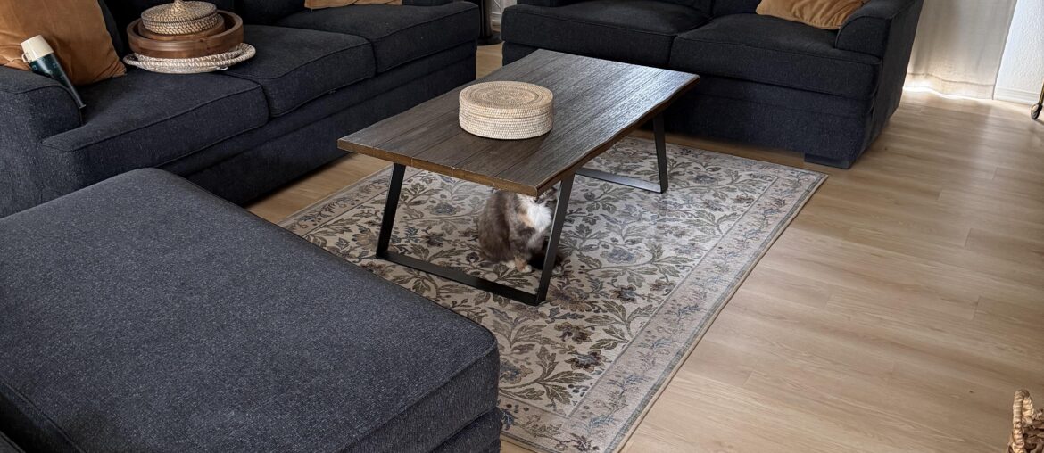 Is this rug too small?