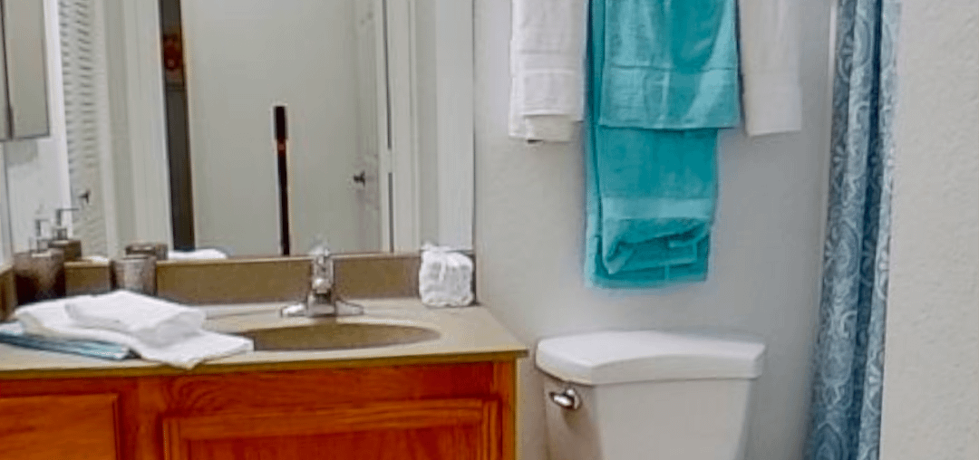 Need the opinion of weebs and nerds— Manga panel walls for the bathroom?