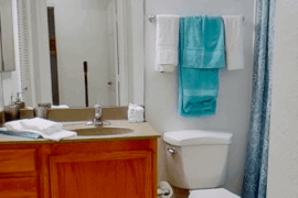 Need the opinion of weebs and nerds— Manga panel walls for the bathroom?