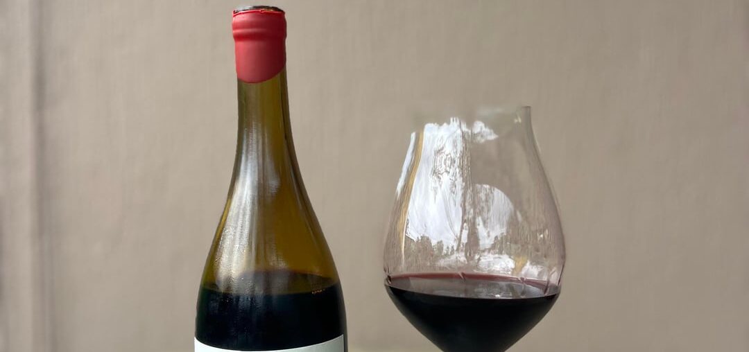 Jardín de Hormigas, Los Amantes 2022, Paraje Altamira .