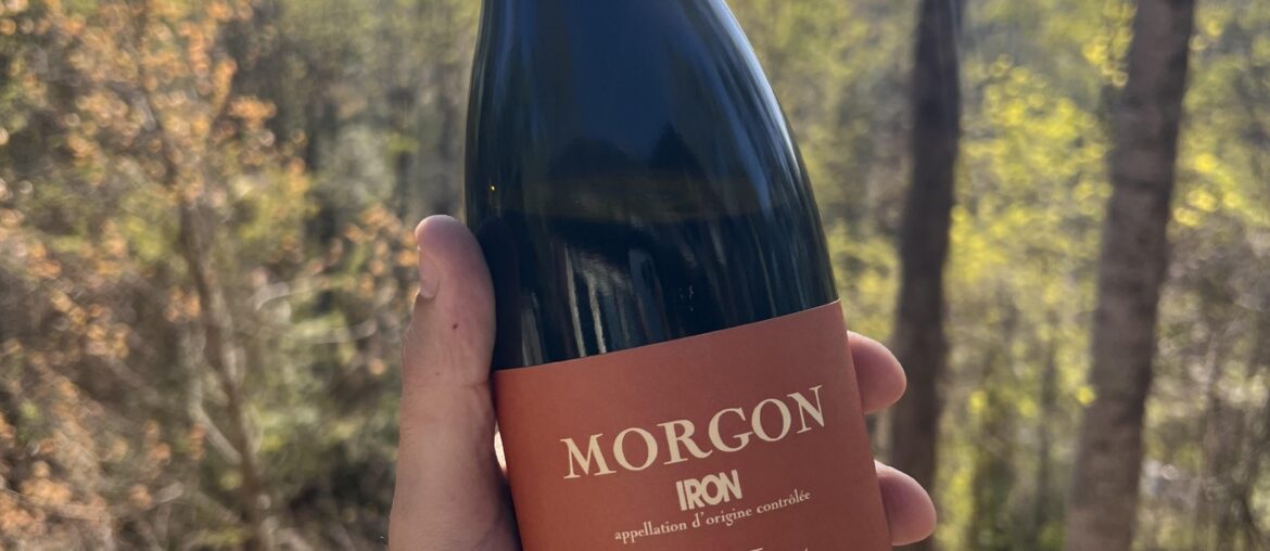 Bertrand Morgon “Iron”2024