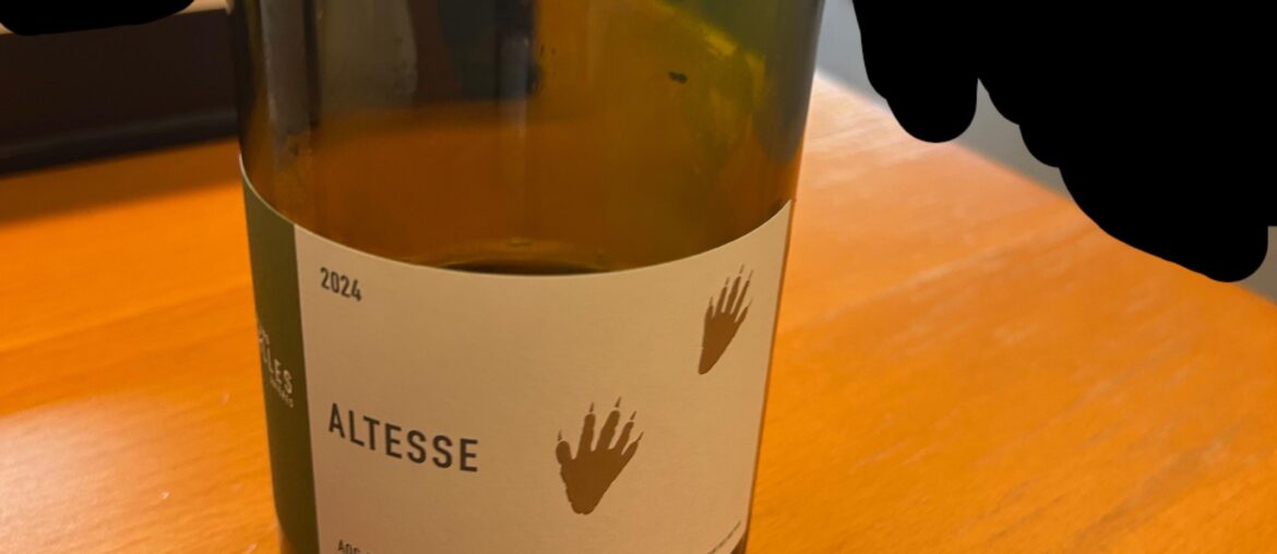 Can someone please help me identify this wine?