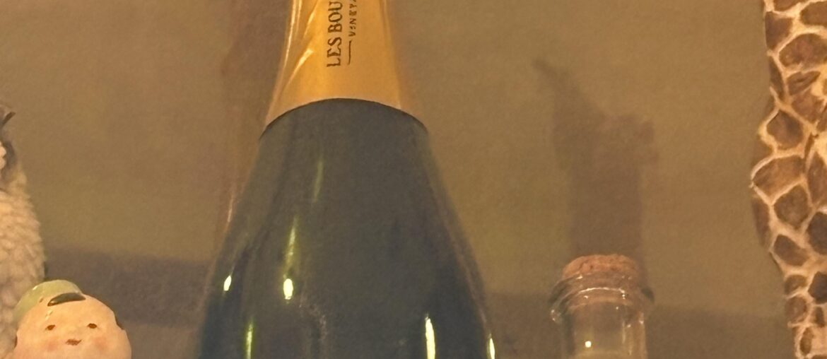 Any more info on this LBV bottle? Seen at Hitt Records in CoMo