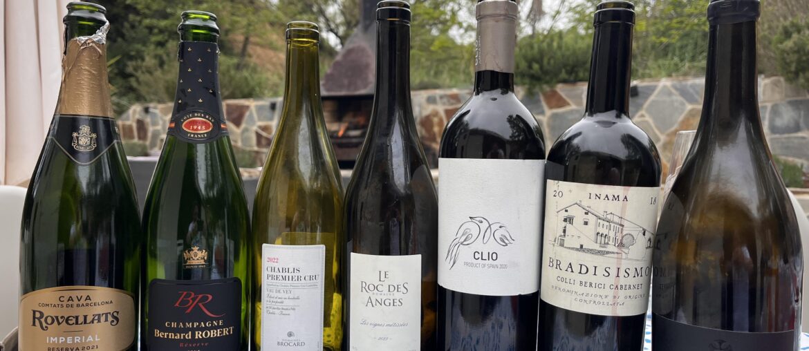 Today’s wineup. The Bradisismo was the clear winner of the reds.