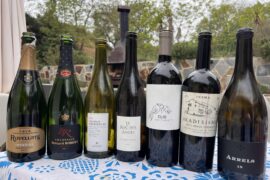 Today’s wineup. The Bradisismo was the clear winner of the reds.