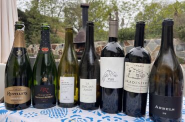 Today’s wineup. The Bradisismo was the clear winner of the reds.