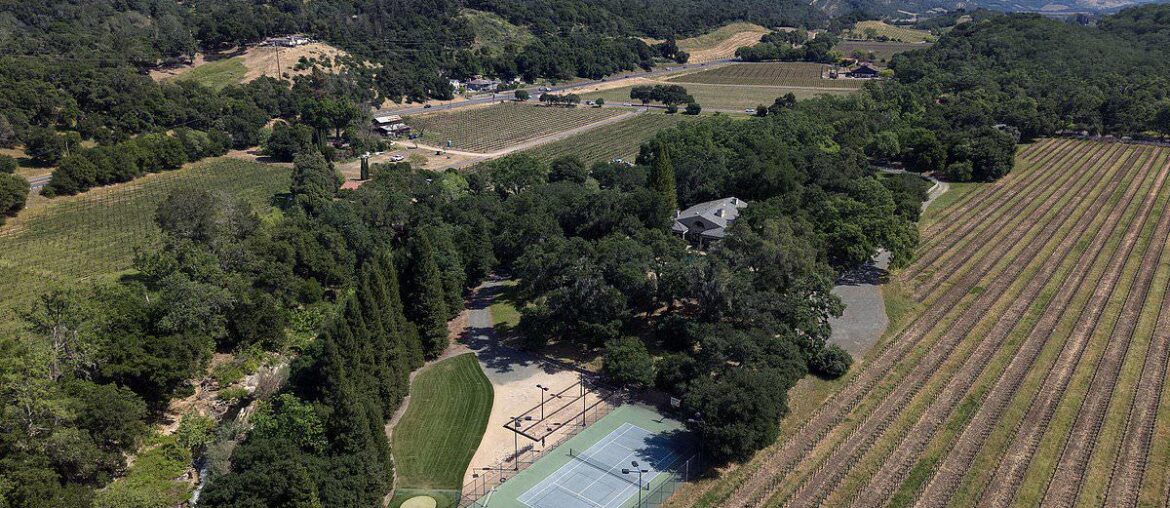 Come to the cabernet! Exclusive glimpse inside Nancy Pelosi's six-acre, $25M Napa Valley wine empire that makes her up to $1M a year