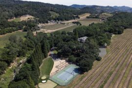 Come to the cabernet! Exclusive glimpse inside Nancy Pelosi's six-acre, $25M Napa Valley wine empire that makes her up to $1M a year