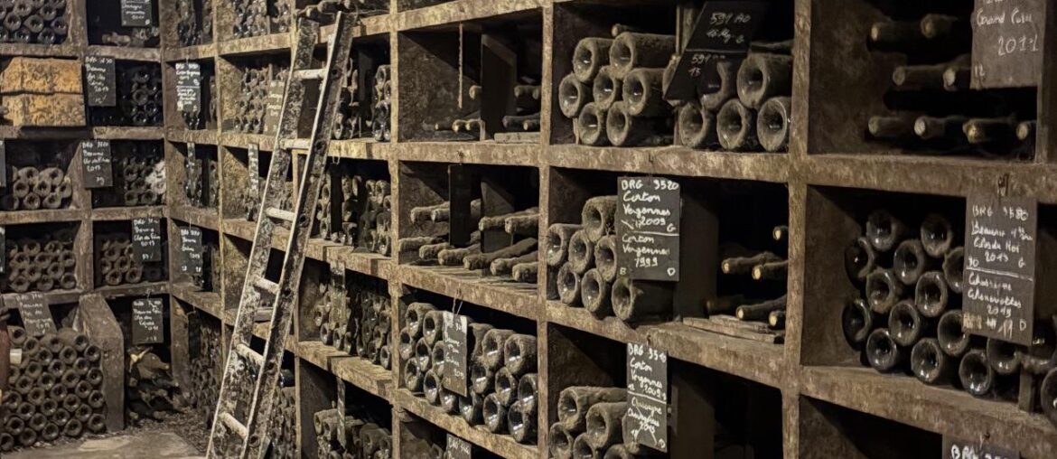 Cool cellar pic ( chanson)