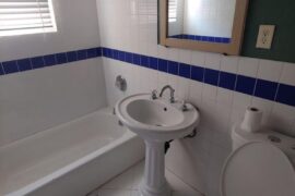 Help me decorate my bathroom (rental)