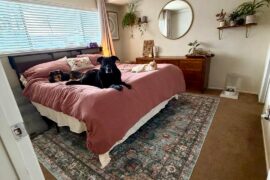 Update for anyone interested in the rug we picked :) pic 3 is the before I posted 2 weeks ago