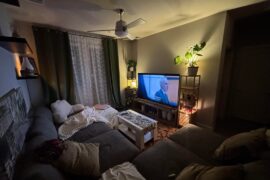 My ≈$750 living room (first apartment)