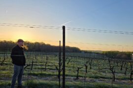 'Widespread devastation': Frost damages grape buds across multiple Eastern states