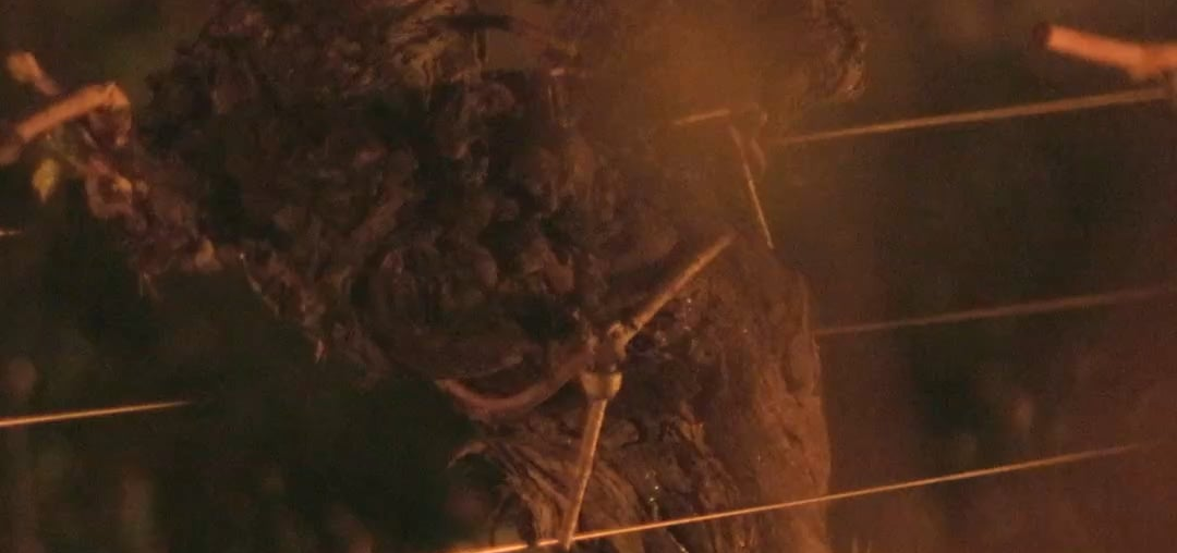 Frost Prevention in Saint Emilion 2026 Video Frost Prevention in Saint Emilion 2026 Video