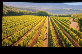 Error in You, Me & Tuscany