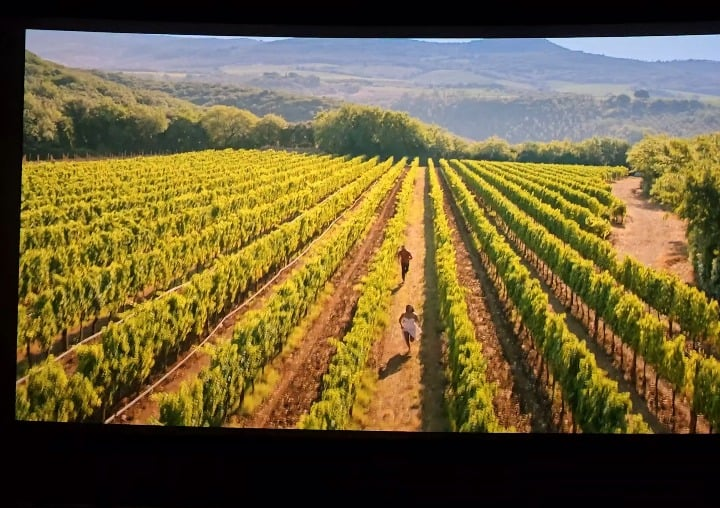 Error in You, Me & Tuscany