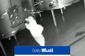 This woman destroyed $2.7 million worth of wine after she was fired