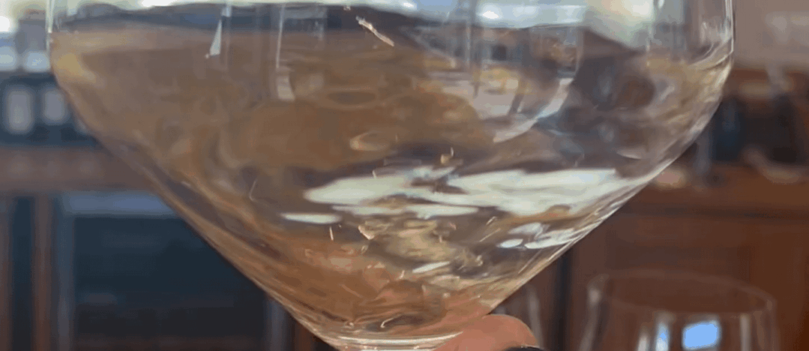 Happy International Chardonnay Day, from the Winelands!