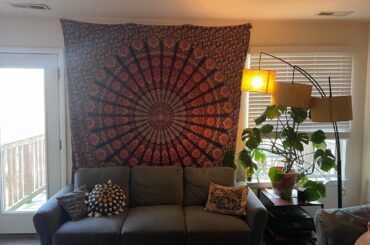I want to get rid of this tapestry in my living room.